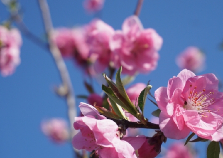 march-image